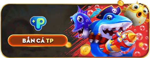 Tổng quan nền tảng bongvip 03